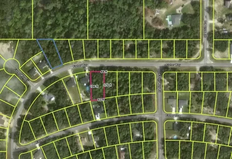 Tbd Fisher Way Ocklawaha FL 32179