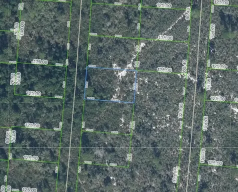6624 Portilla Drive Sebring FL 33872