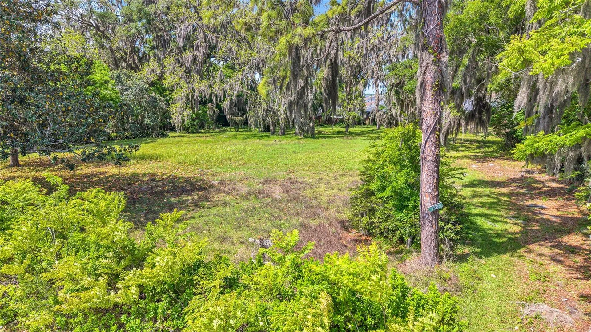 11338 N Us Highway 301 Oxford FL 34484