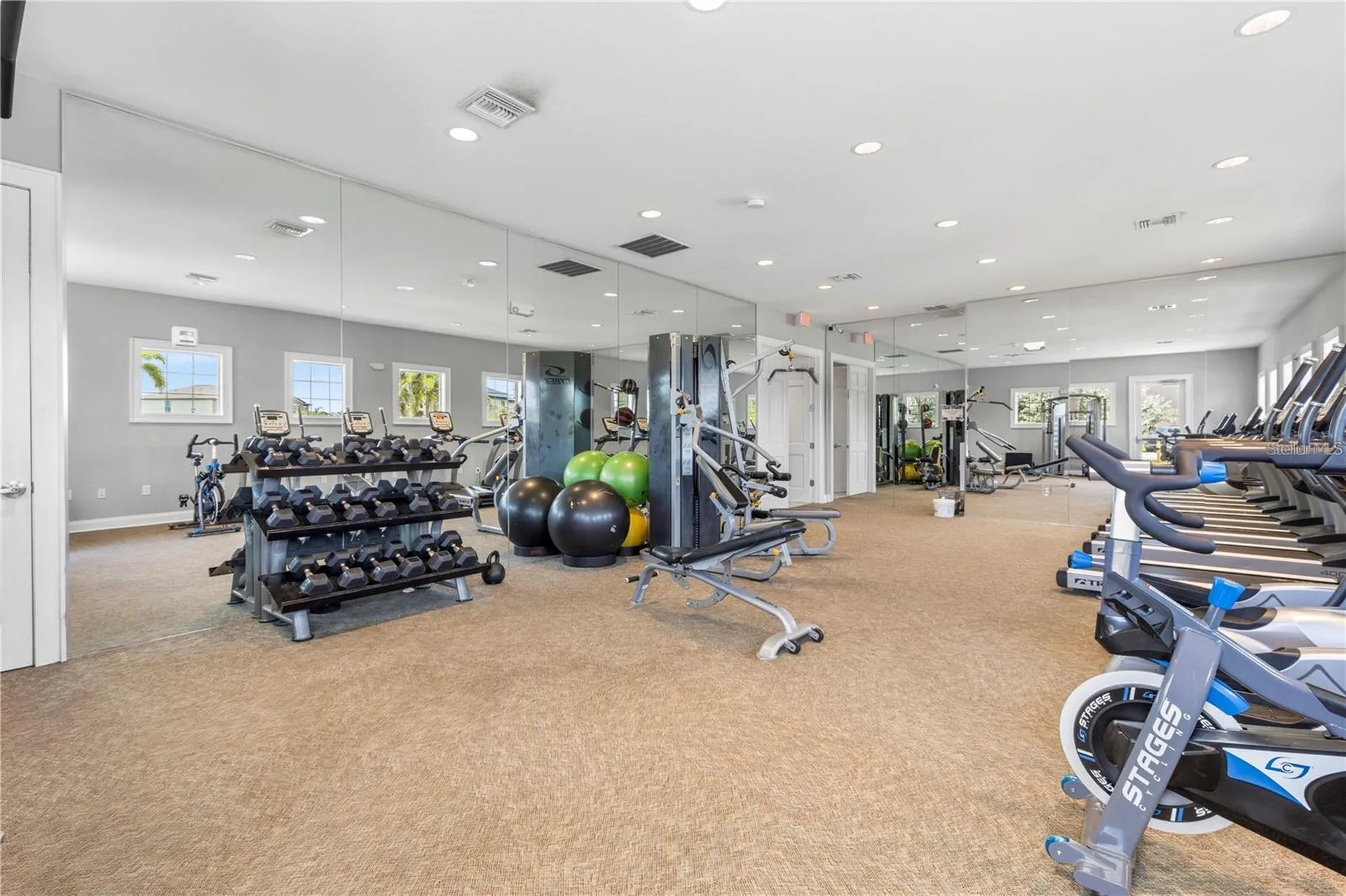 7217 Ronnie Gardens Court Tampa FL 33619