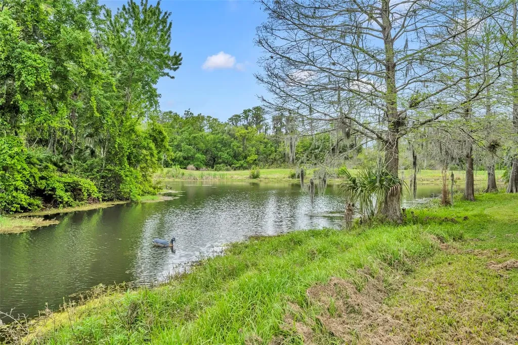 13568 Dornoch Drive Orlando FL 32828