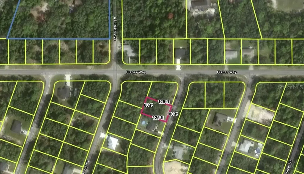 Tbd SE Fisher Way Place Ocklawaha FL 32179