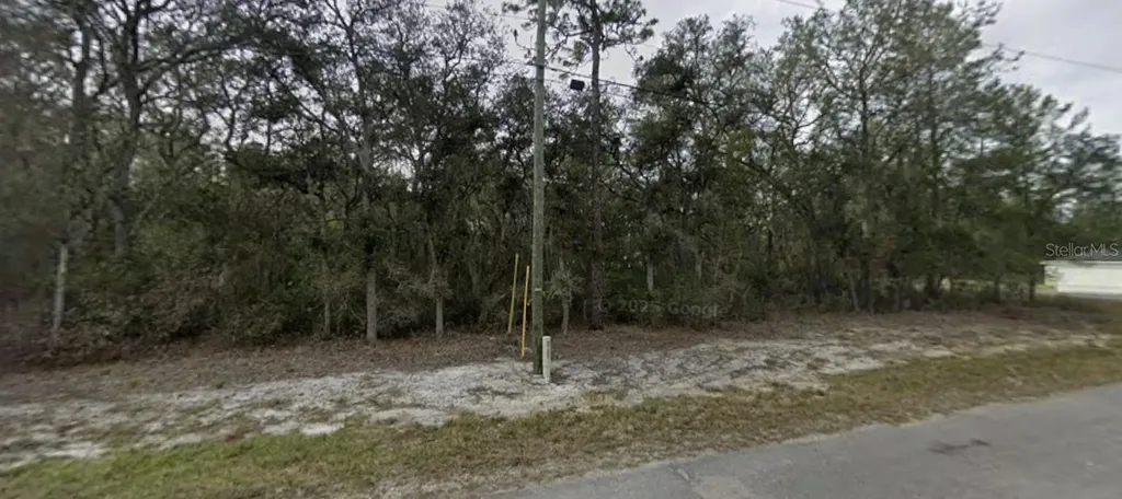 Tbd SE Fisher Way Place Ocklawaha FL 32179