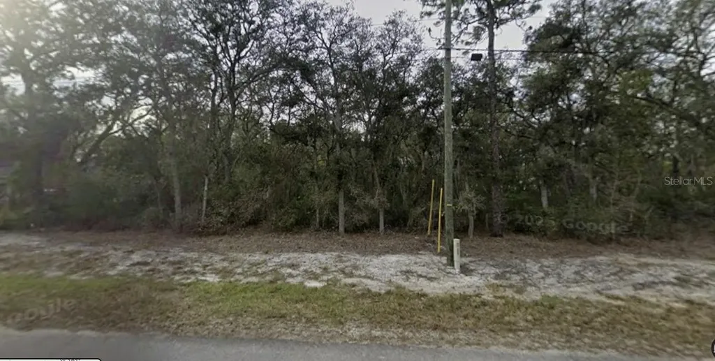 Tbd SE Fisher Way Place Ocklawaha FL 32179