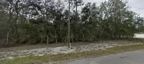 Tbd SE Fisher Way Place Ocklawaha FL 32179