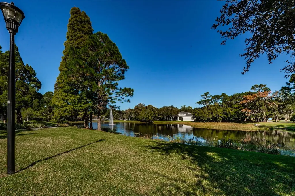 5721 Heronpark Place Lithia FL 33547