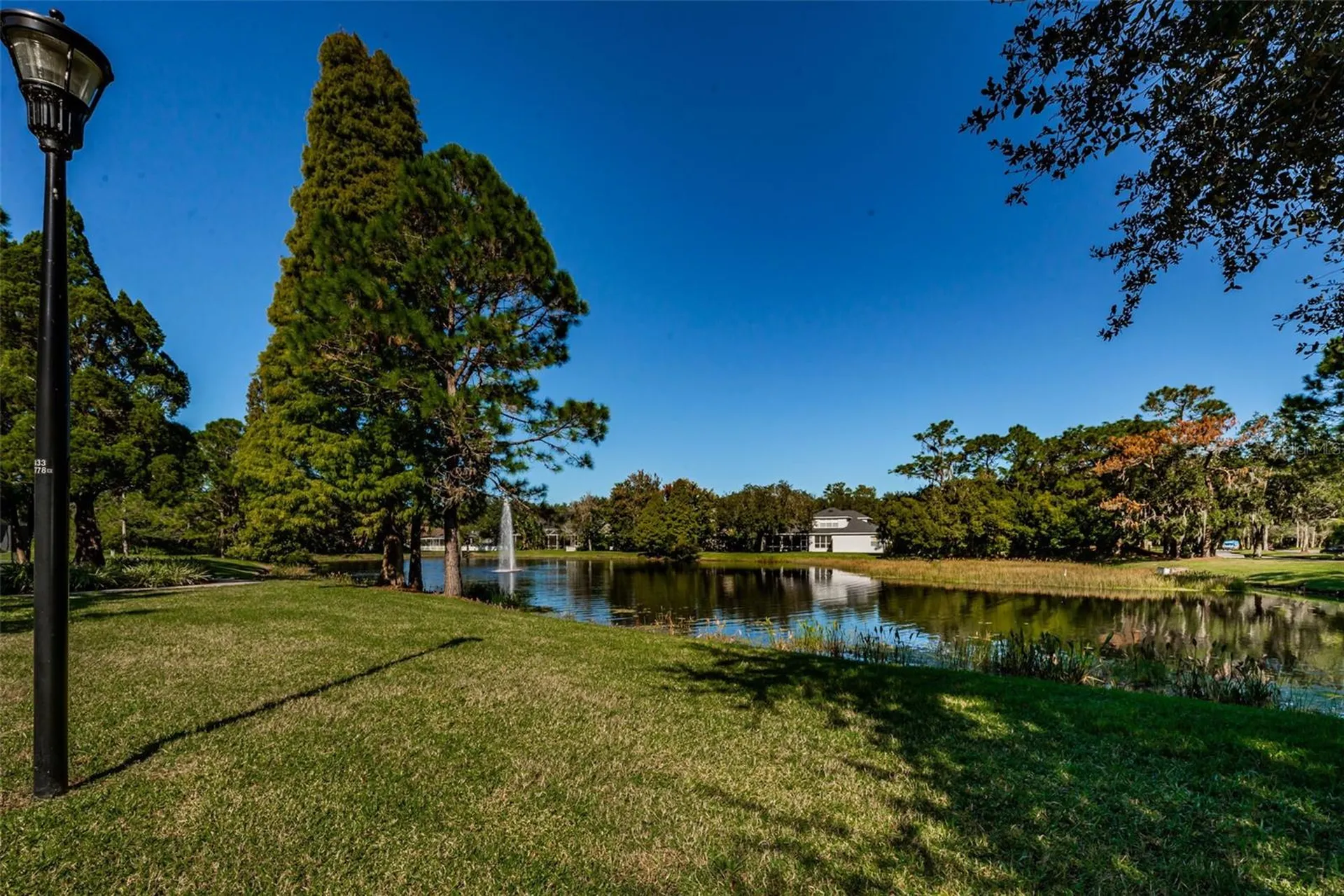 5721 Heronpark Place Lithia FL 33547