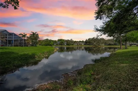 5721 Heronpark Place Lithia FL 33547