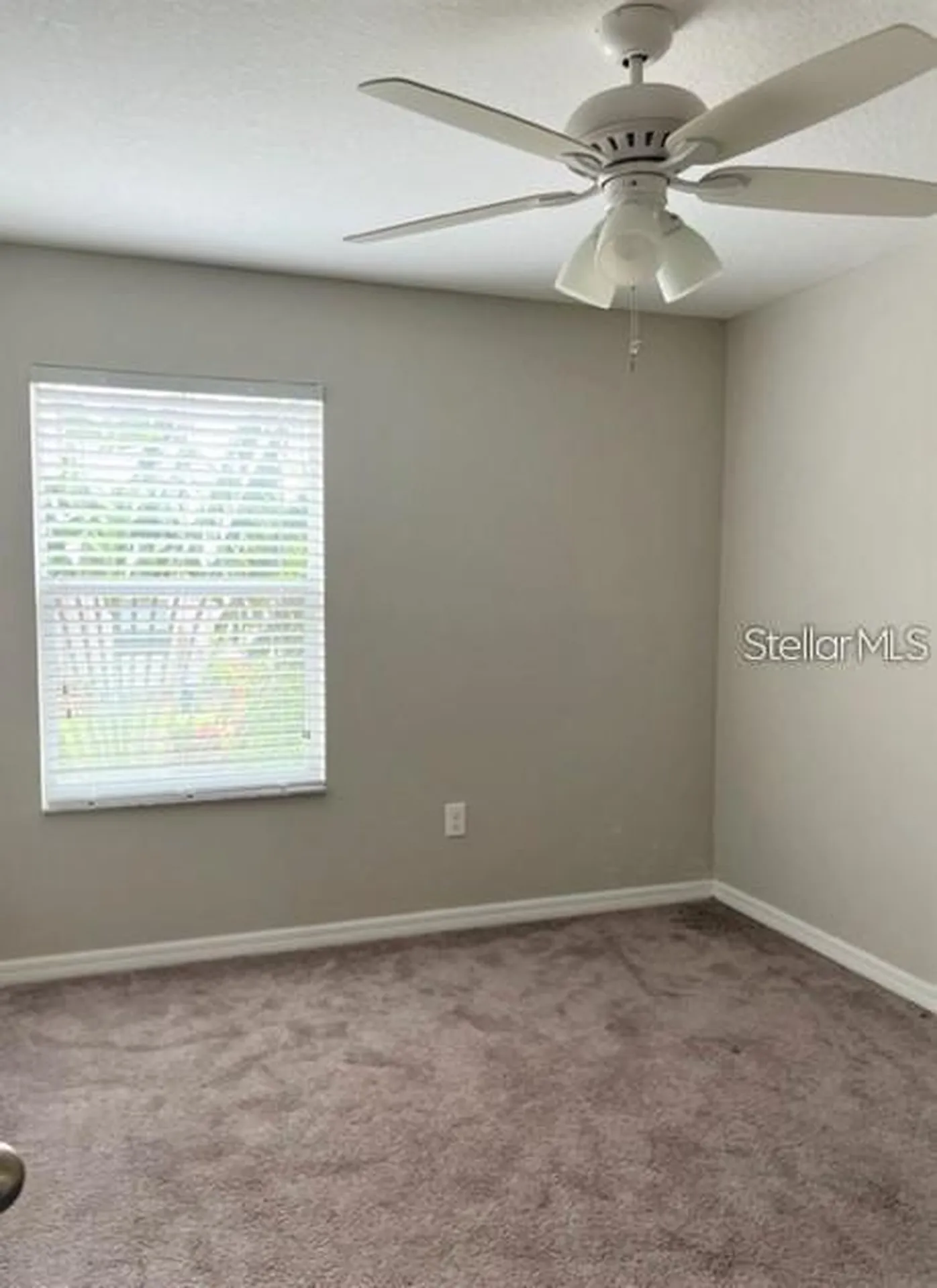 10643 Lake Montauk Drive Riverview FL 33578