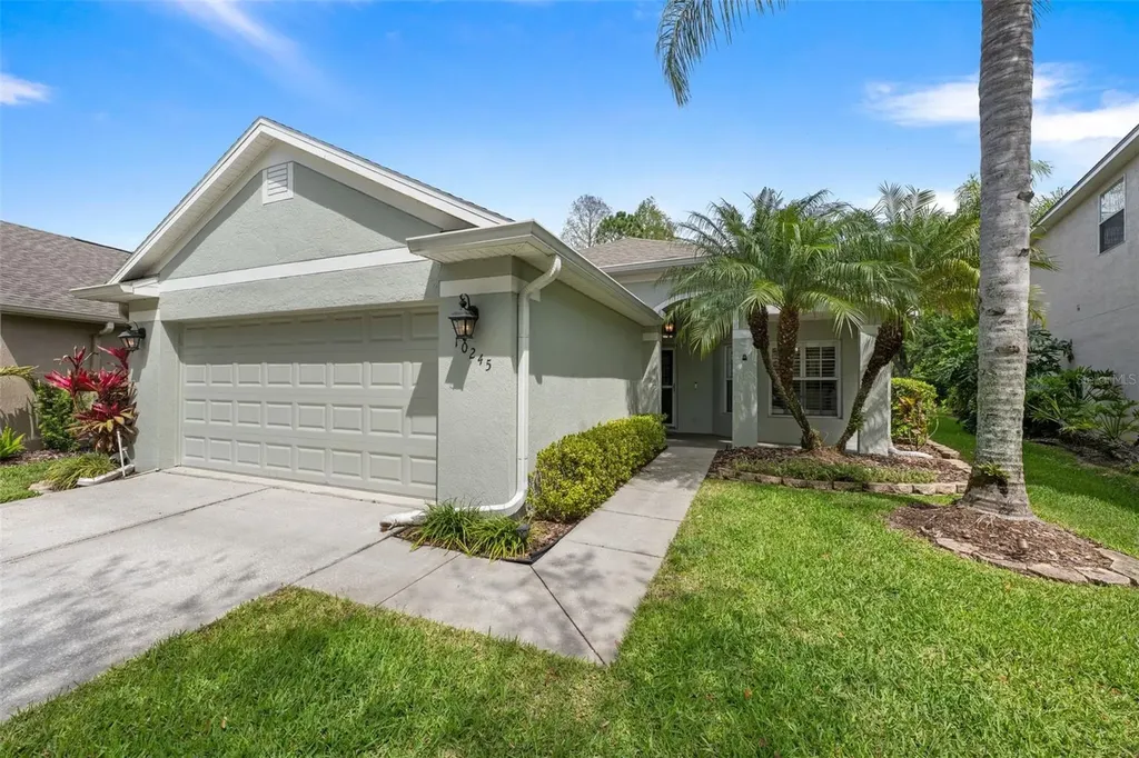 10245 Woodford Bridge Street Tampa FL 33626