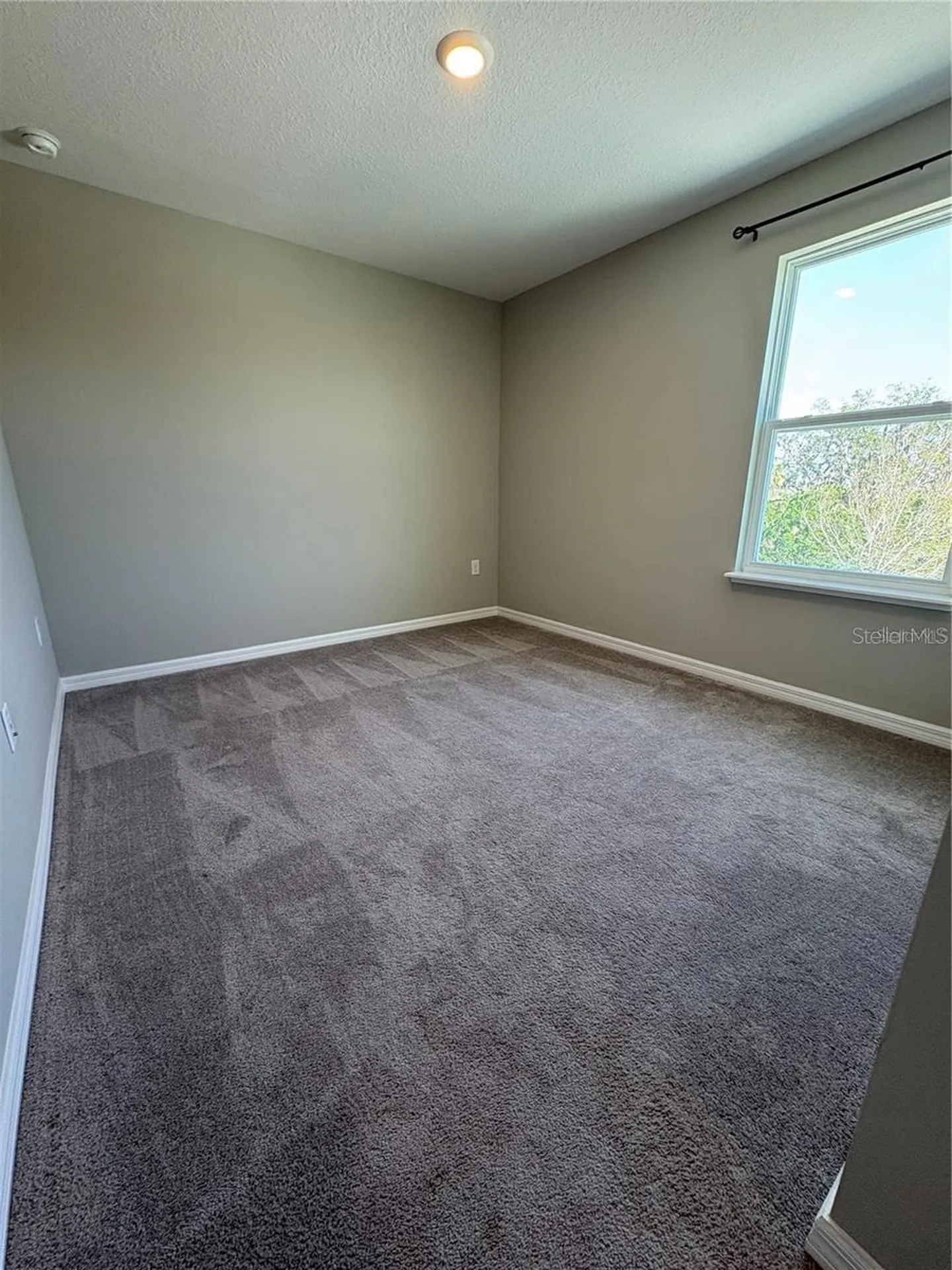 4517 Reisswood Loop Palmetto FL 34221