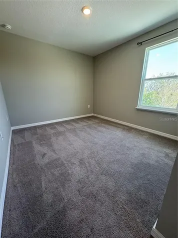 4517 Reisswood Loop Palmetto FL 34221