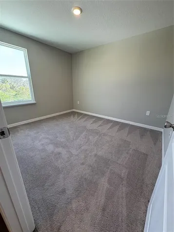 4517 Reisswood Loop Palmetto FL 34221