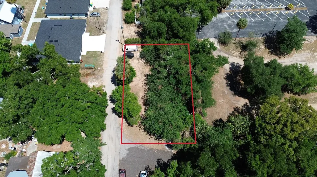 Dewitt Court Eustis FL 32726