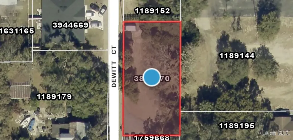 Dewitt Court Eustis FL 32726
