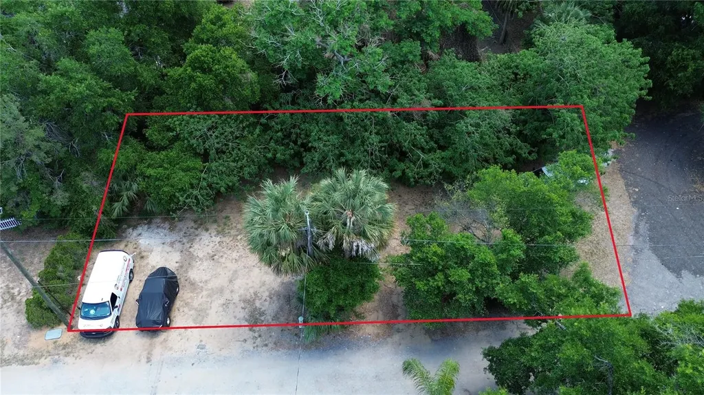 Dewitt Court Eustis FL 32726