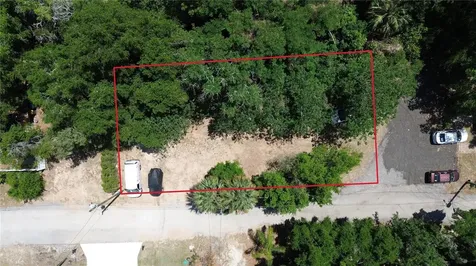 Dewitt Court Eustis FL 32726