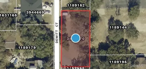 Dewitt Court Eustis FL 32726