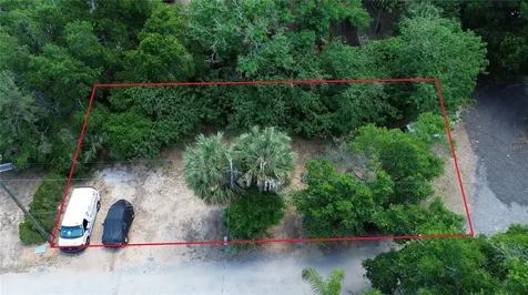 Dewitt Court Eustis FL 32726