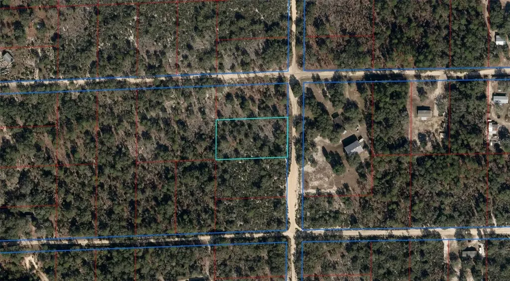 NE 100th Avenue Bronson FL 32621