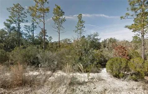 NE 100th Avenue Bronson FL 32621