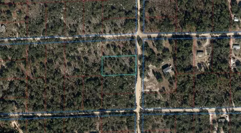 NE 100th Avenue Bronson FL 32621