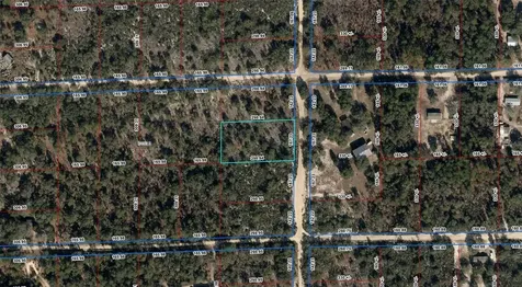 NE 100th Avenue Bronson FL 32621