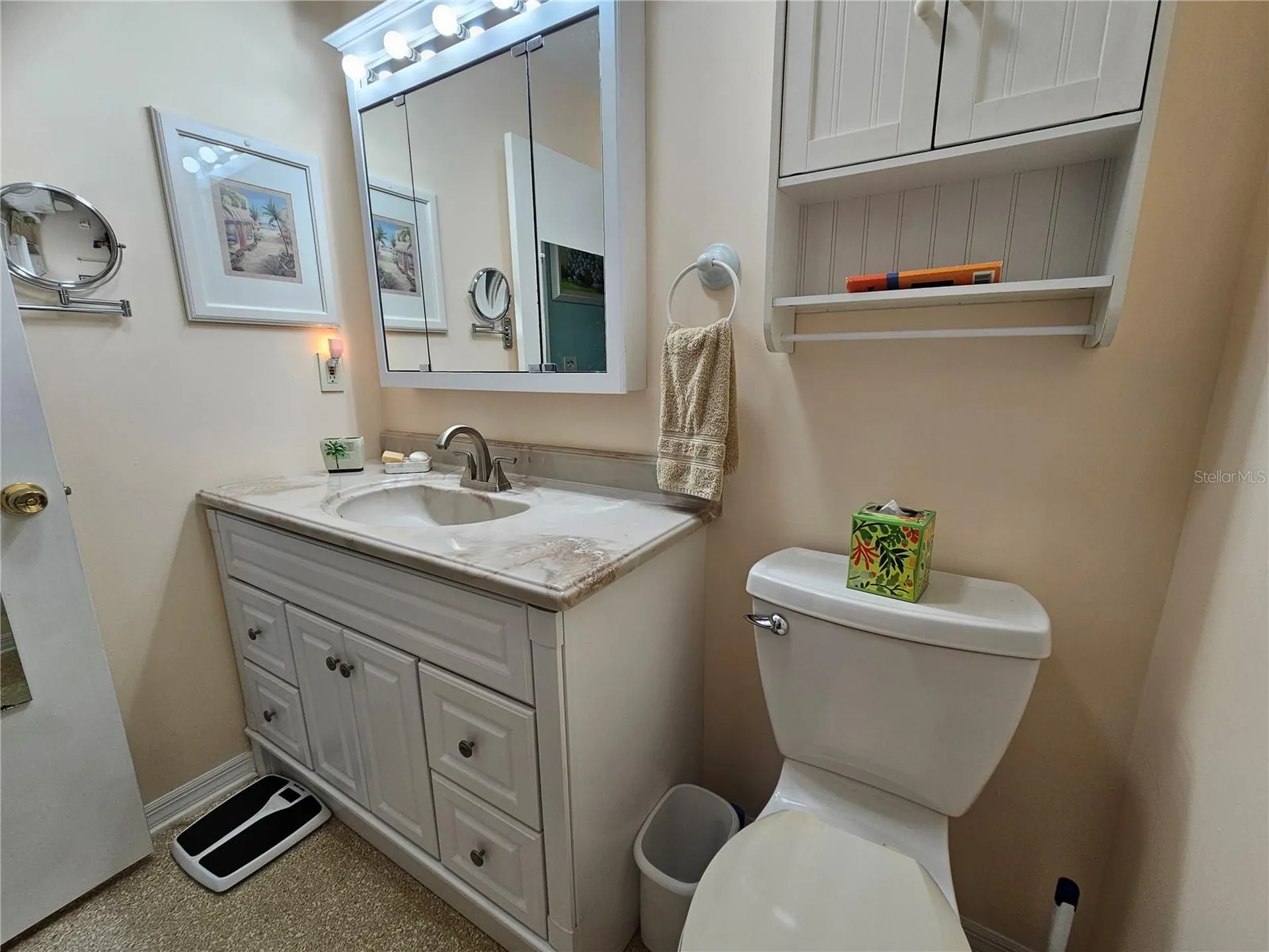 1905 Canterbury Lane Sun City Center FL 33573