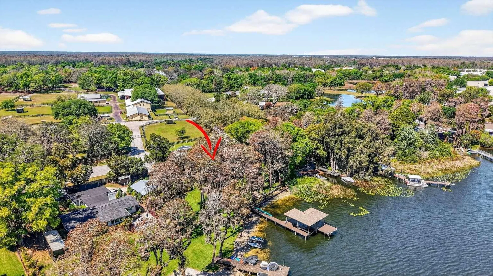 19801 Gunn Highway Odessa FL 33556