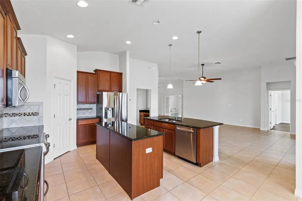 30139 Hackney Loop Mount Dora FL 32757