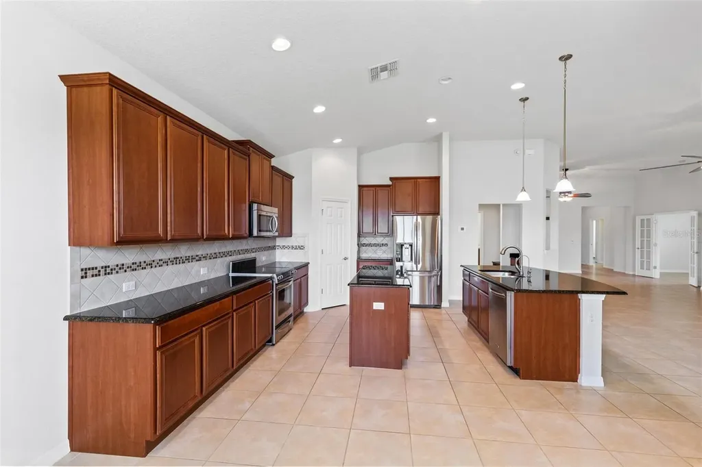 30139 Hackney Loop Mount Dora FL 32757