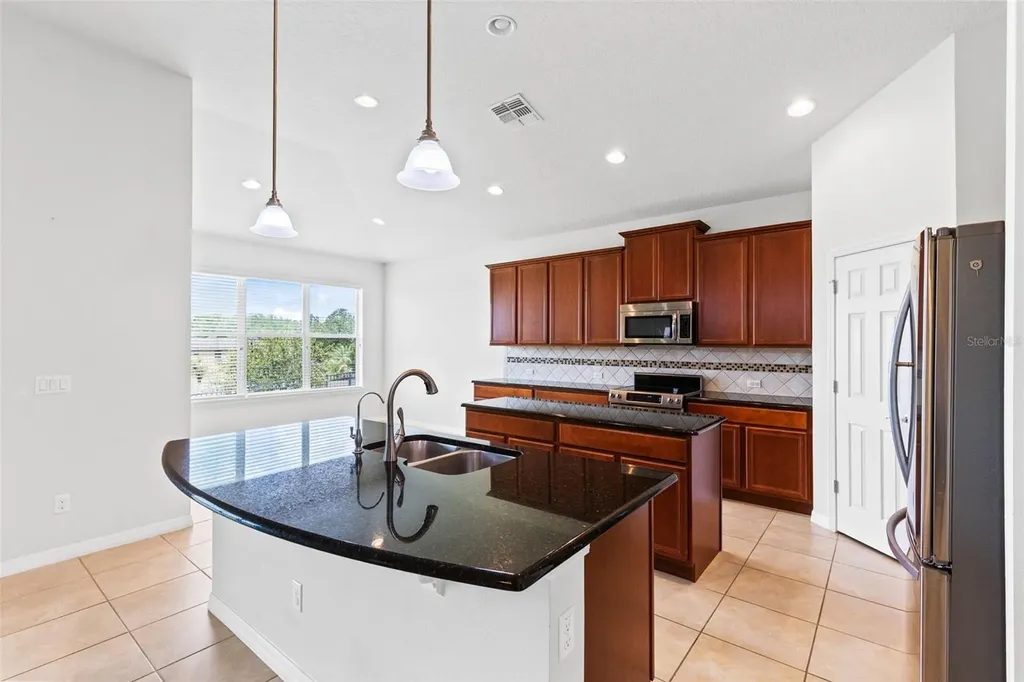 30139 Hackney Loop Mount Dora FL 32757
