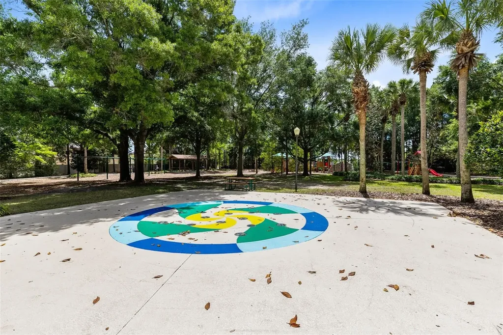30139 Hackney Loop Mount Dora FL 32757
