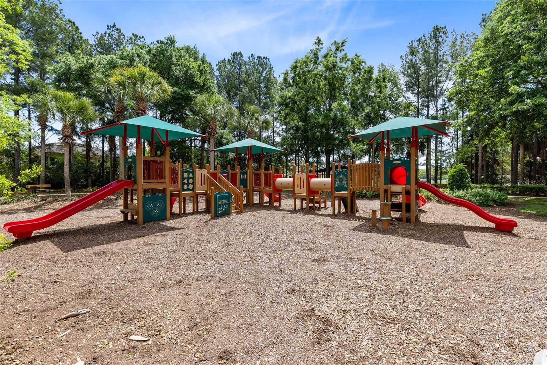 30139 Hackney Loop Mount Dora FL 32757
