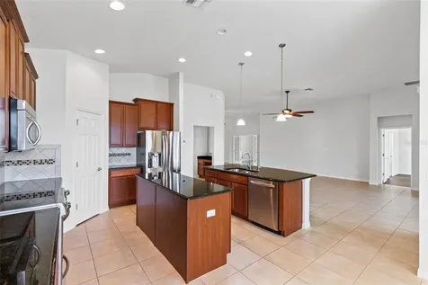 30139 Hackney Loop Mount Dora FL 32757