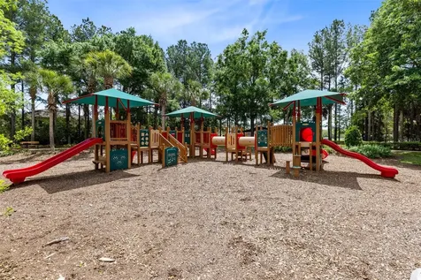 30139 Hackney Loop Mount Dora FL 32757