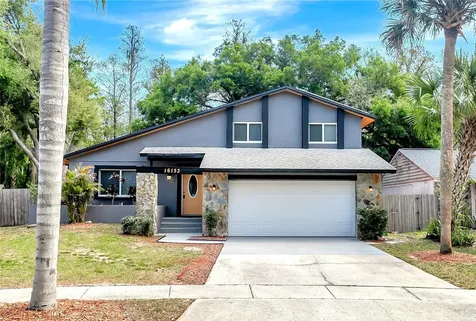 16133 Ravendale Drive Tampa FL 33618