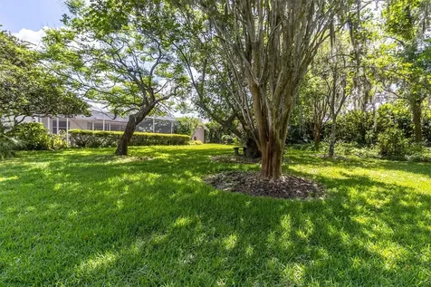 1806 Kinsmere Drive Trinity FL 34655