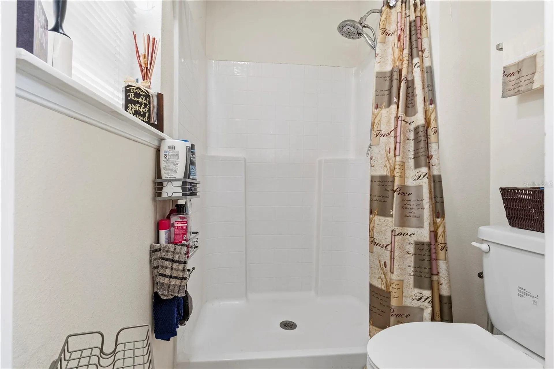 2881 SW 142nd Lane Ocala FL 34473