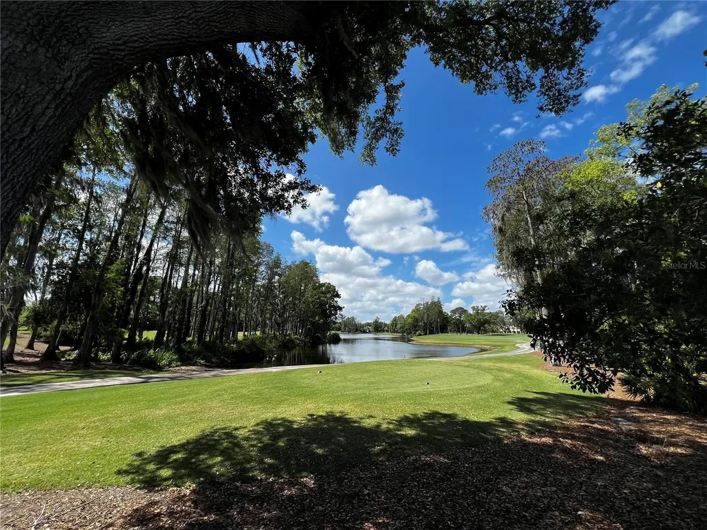16912 Villalagos De Avila Lutz FL 33548