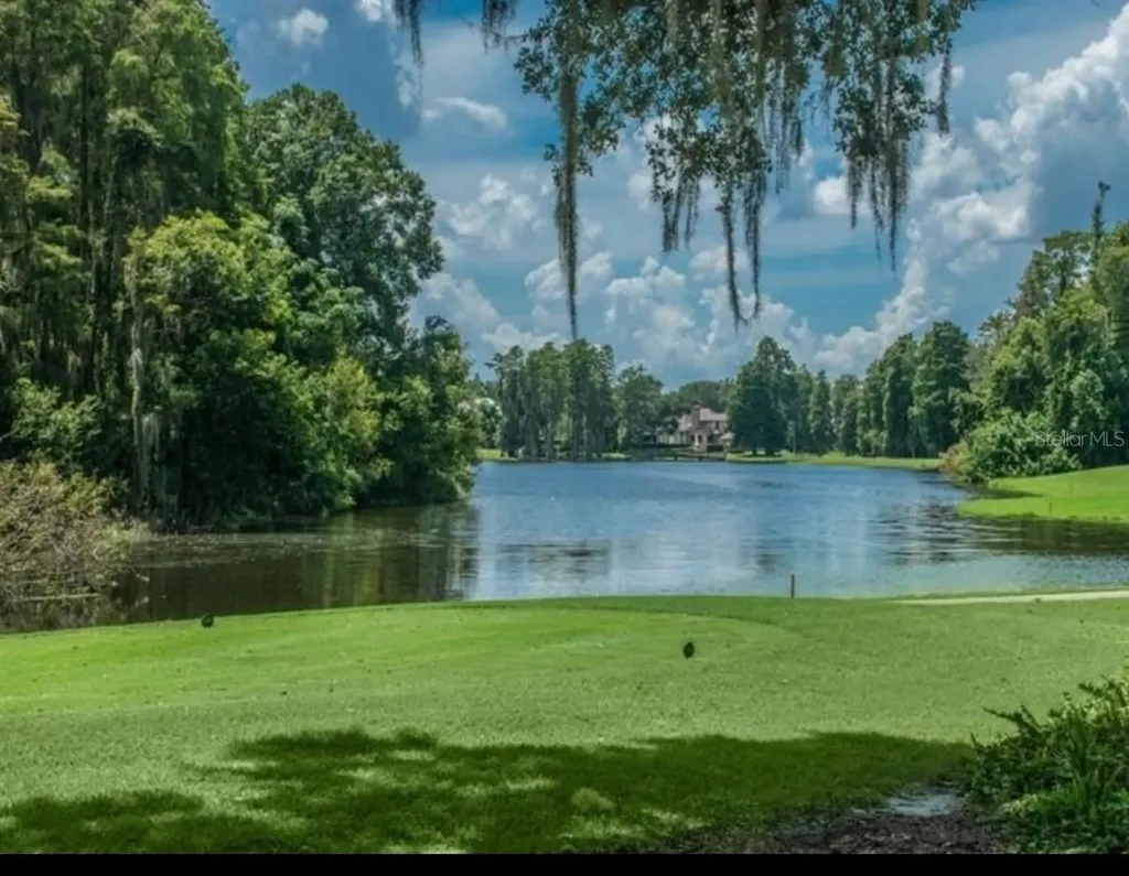 16912 Villalagos De Avila Lutz FL 33548
