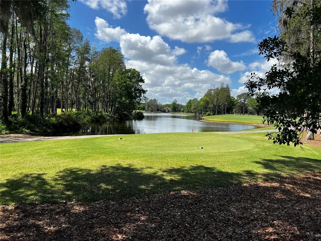 16912 Villalagos De Avila Lutz FL 33548