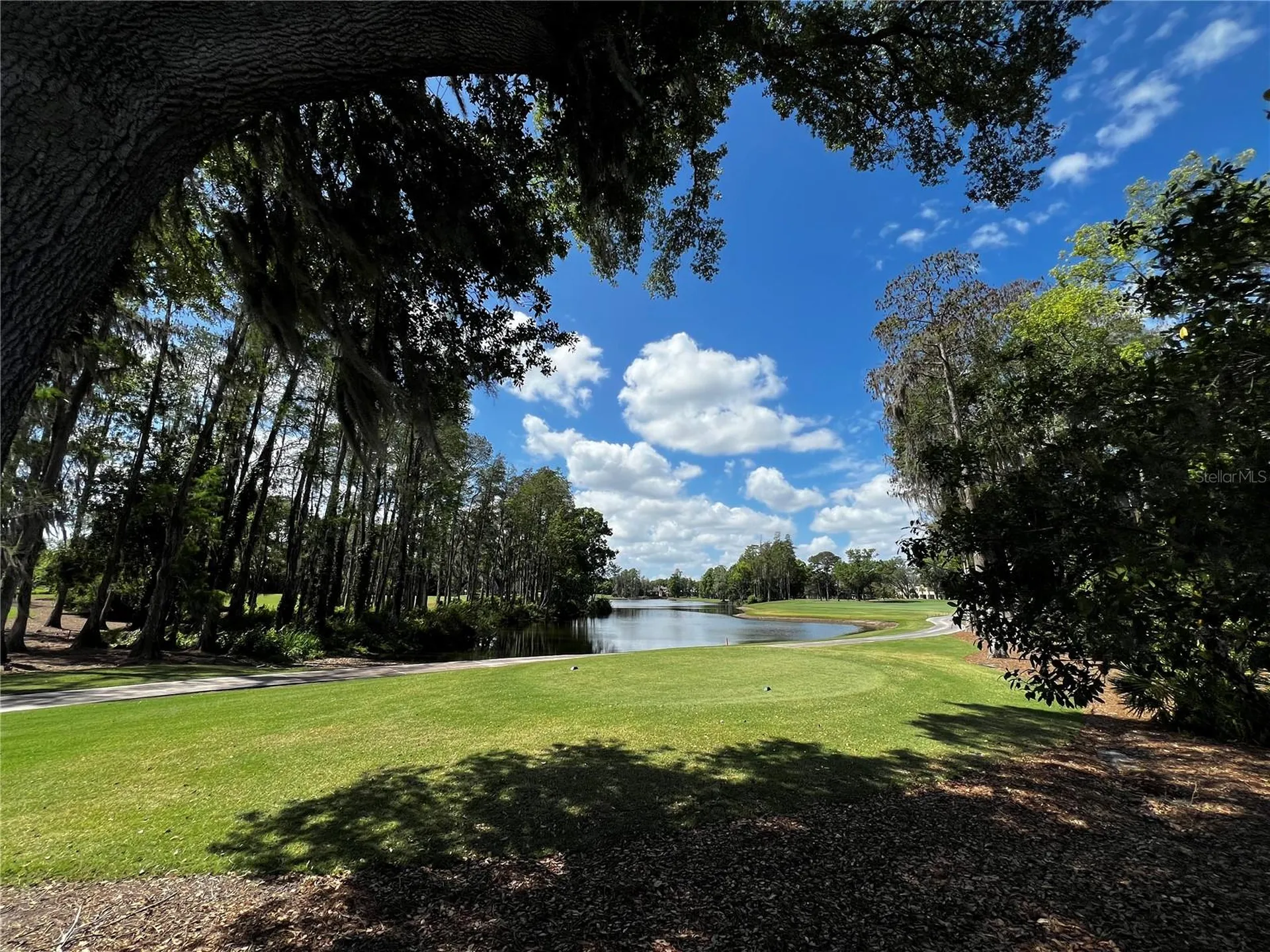 16912 Villalagos De Avila Lutz FL 33548