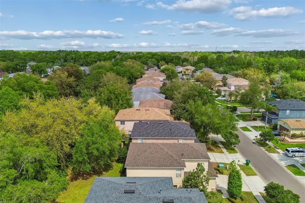 2401 Silvermoss Drive Wesley Chapel FL 33544