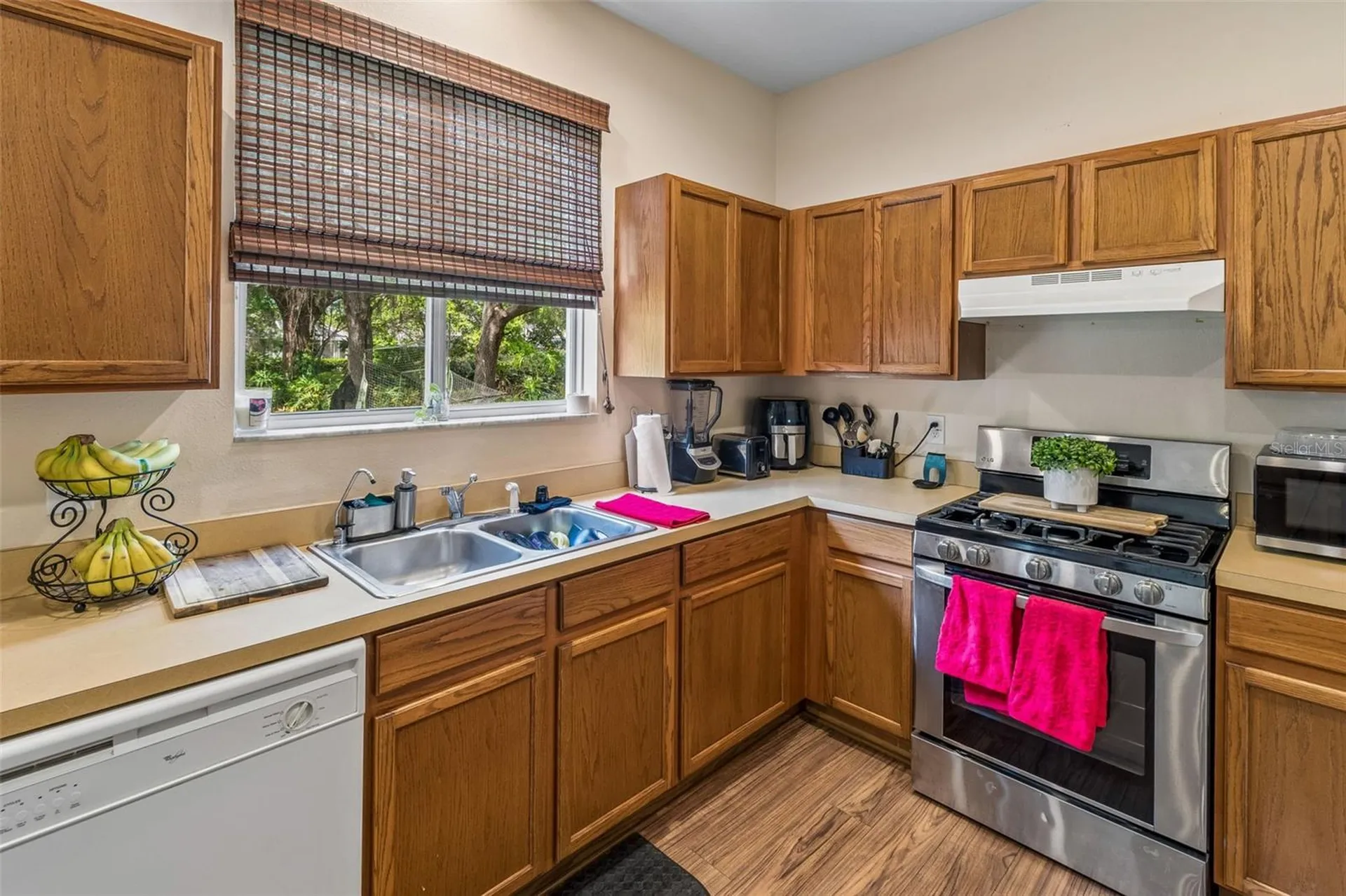2401 Silvermoss Drive Wesley Chapel FL 33544