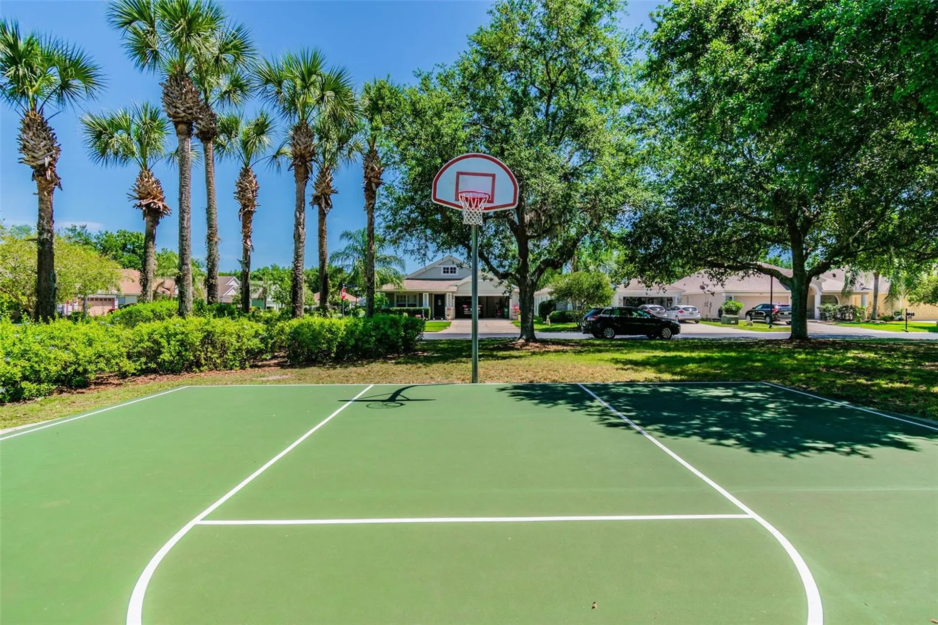 2401 Silvermoss Drive Wesley Chapel FL 33544