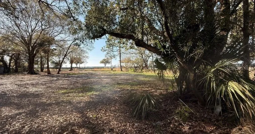 911 Marshall Farms Road Ocoee FL 34761