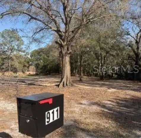 911 Marshall Farms Road Ocoee FL 34761