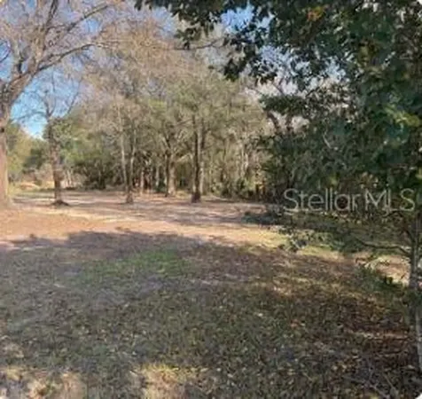 911 Marshall Farms Road Ocoee FL 34761