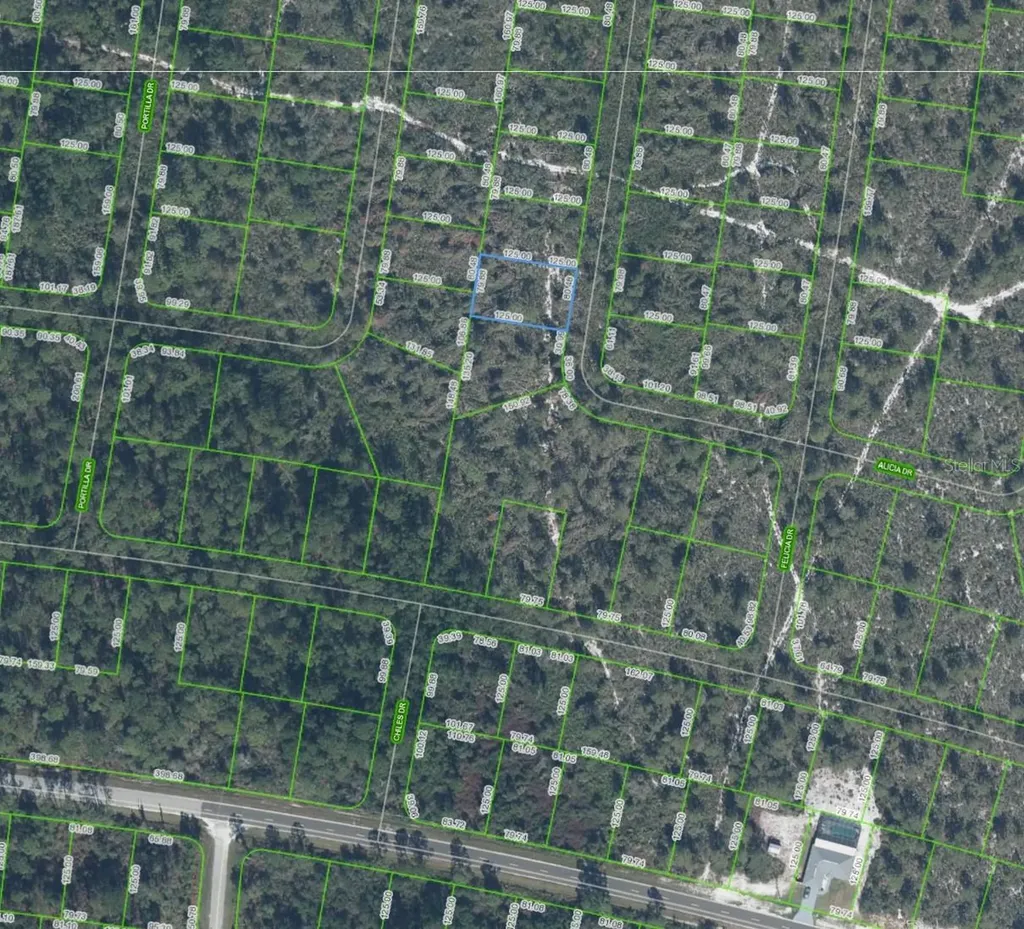 6464 Alicia Drive Sebring FL 33872
